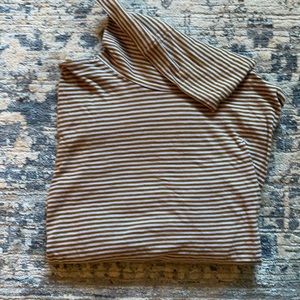Madewell Whisper Cotton Turtleneck in Carlsbad Stripe